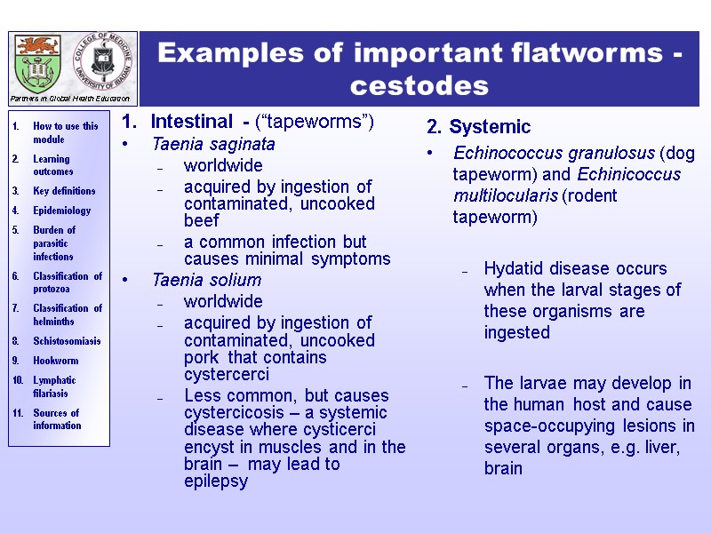 Examples of important flatworms - cestodes Intestinal - (“tapeworms”)  Taenia saginata worldwide acquired